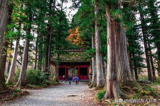 长野好玩的地方,日本长野旅游攻略