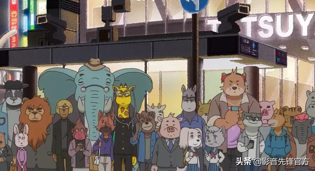 黑马新番推荐,这才是成年人该看的动漫