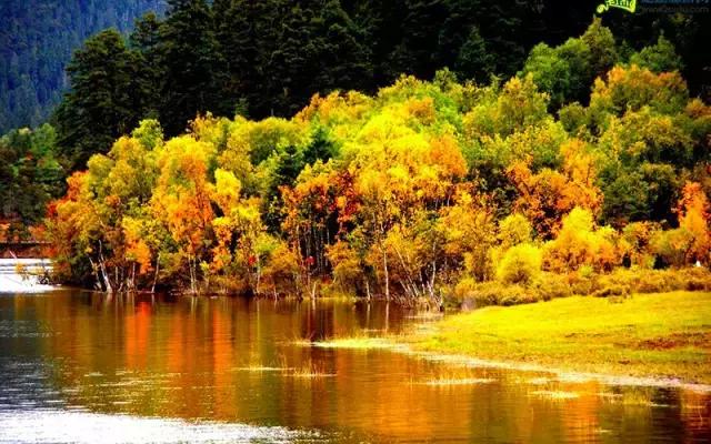 邂逅秋天的千岛湖!光看图已美醉,住这7家美宿避开人群赏湖景山色