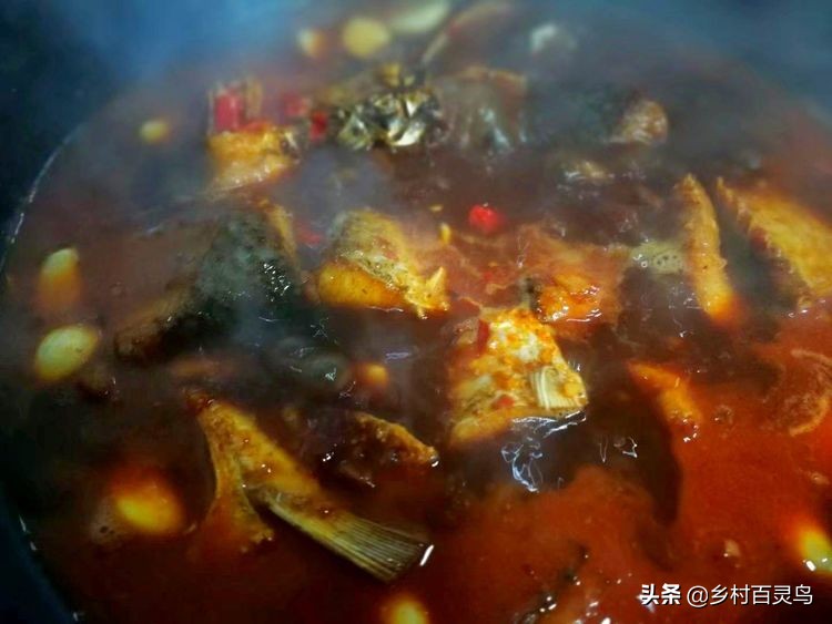 舌尖上的家常菜鱼,舌尖上的味道百吃不腻完整版