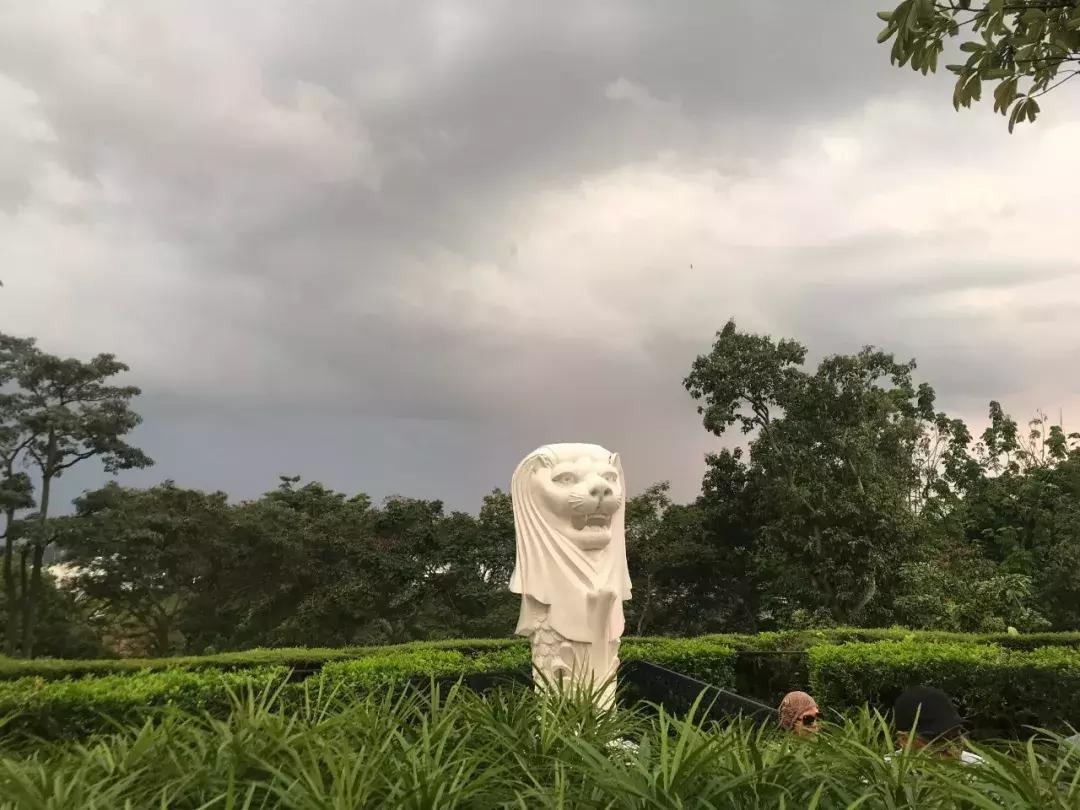 “南洋”见闻略:开怀有自新加坡