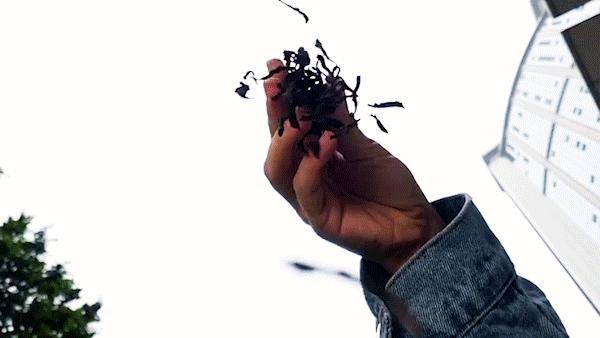 挞柠元岗南路店,挞柠手打柠檬茶团购广州