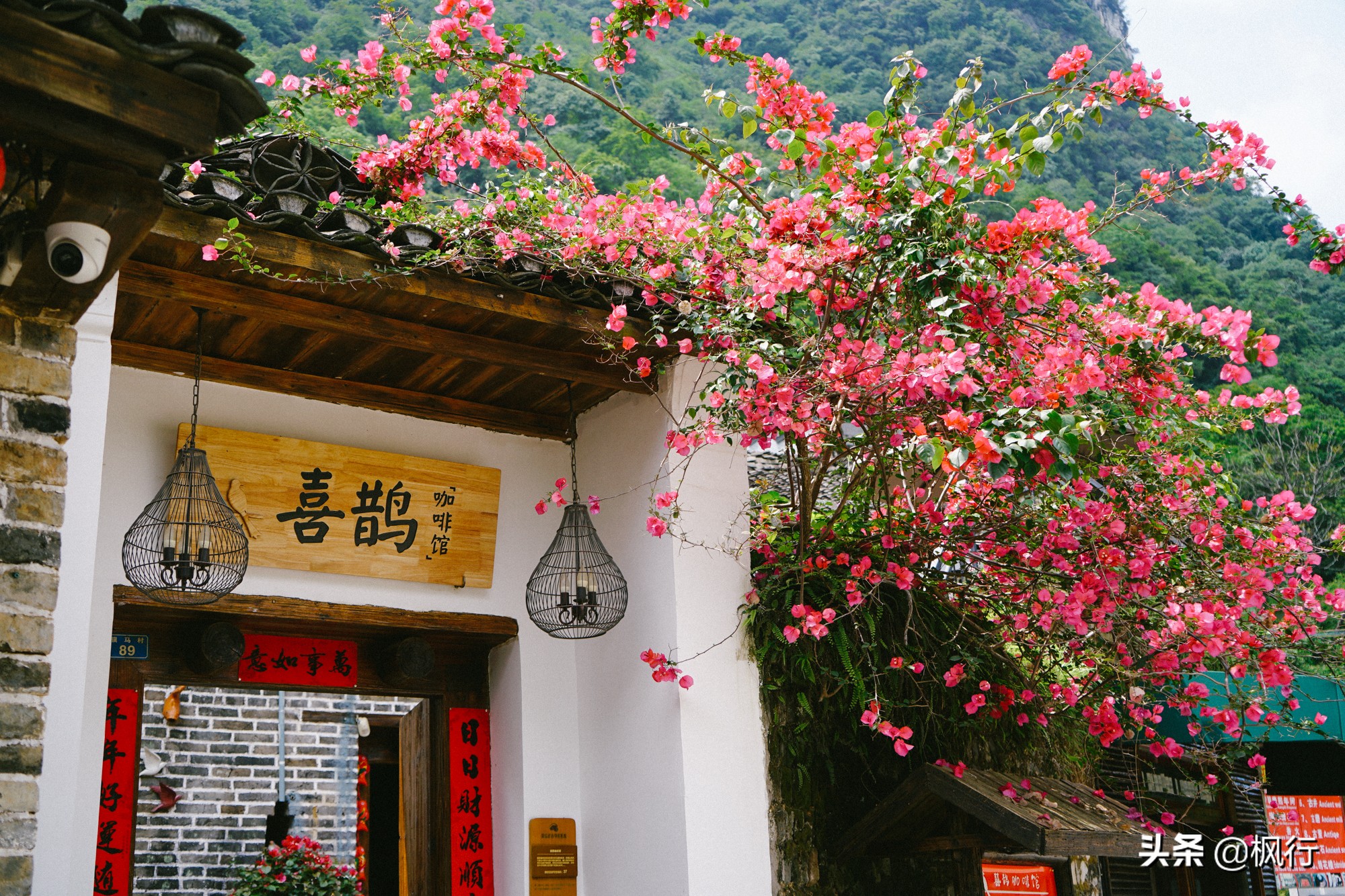 桂林阳朔旅游攻略一天半,最详细桂林阳朔旅游攻略