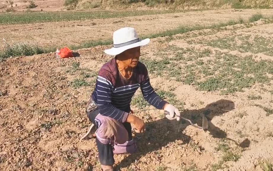 面对糟蹋粮食该怎么办,面对不劳而获的人我们应该怎么办