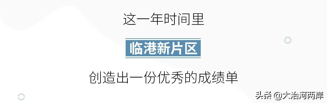 厉害了我的新东方,厉害了我的浦东