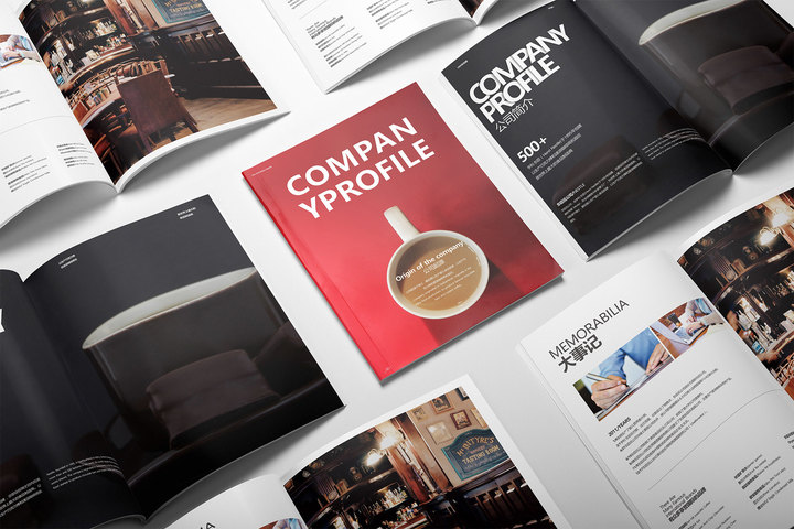 深圳企业宣传画册制作流程,深圳企业宣传册设计案例