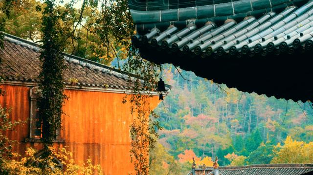浙江这座5*级A**寺院景区，让我这俗人第一次有了想要“出家”的冲动