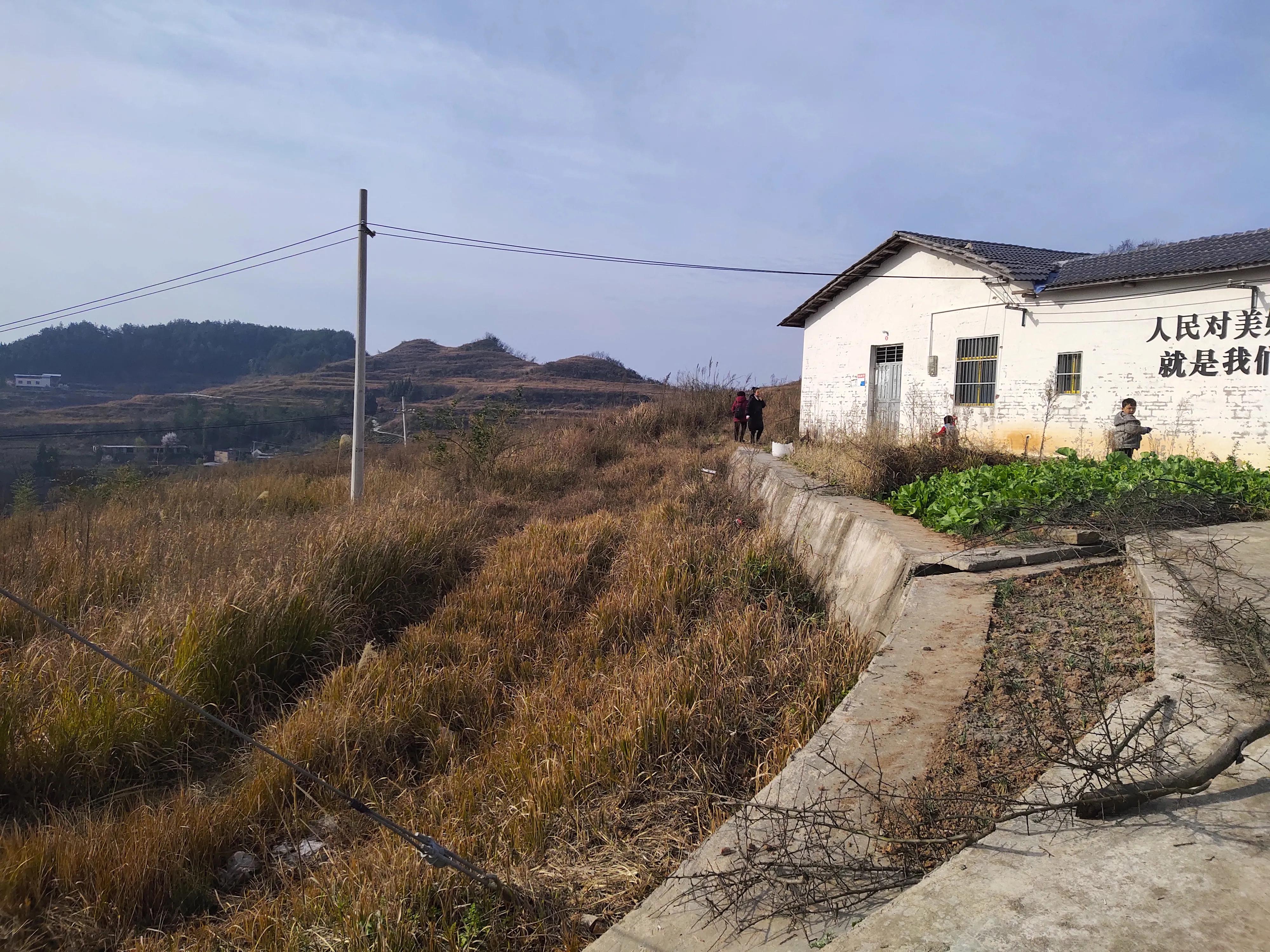 登高感想100字以上,初九登高