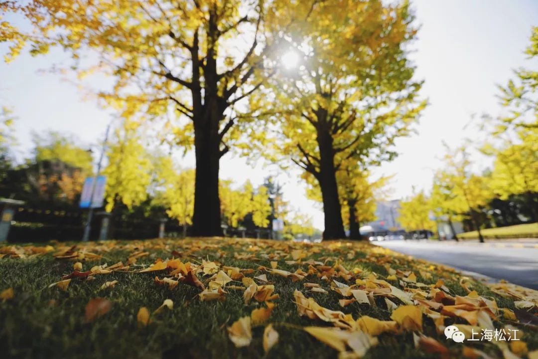 泰晤士小镇怎么去有啥好玩的,泰晤士小镇怎么拍