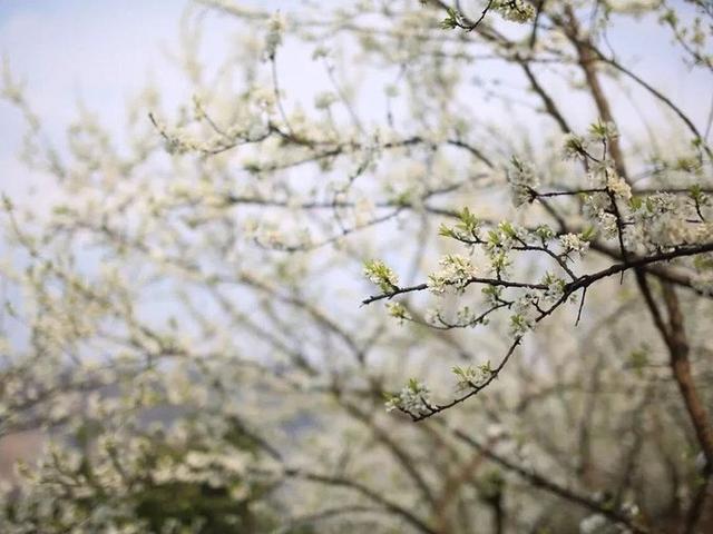 鏁ｆ枃鍐ぉ鐨勯,鏆栨殩鐨勯鏁ｆ枃