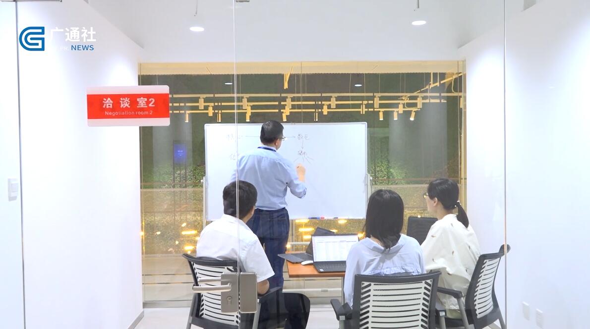 北京直通车栏目直播,北京直通车