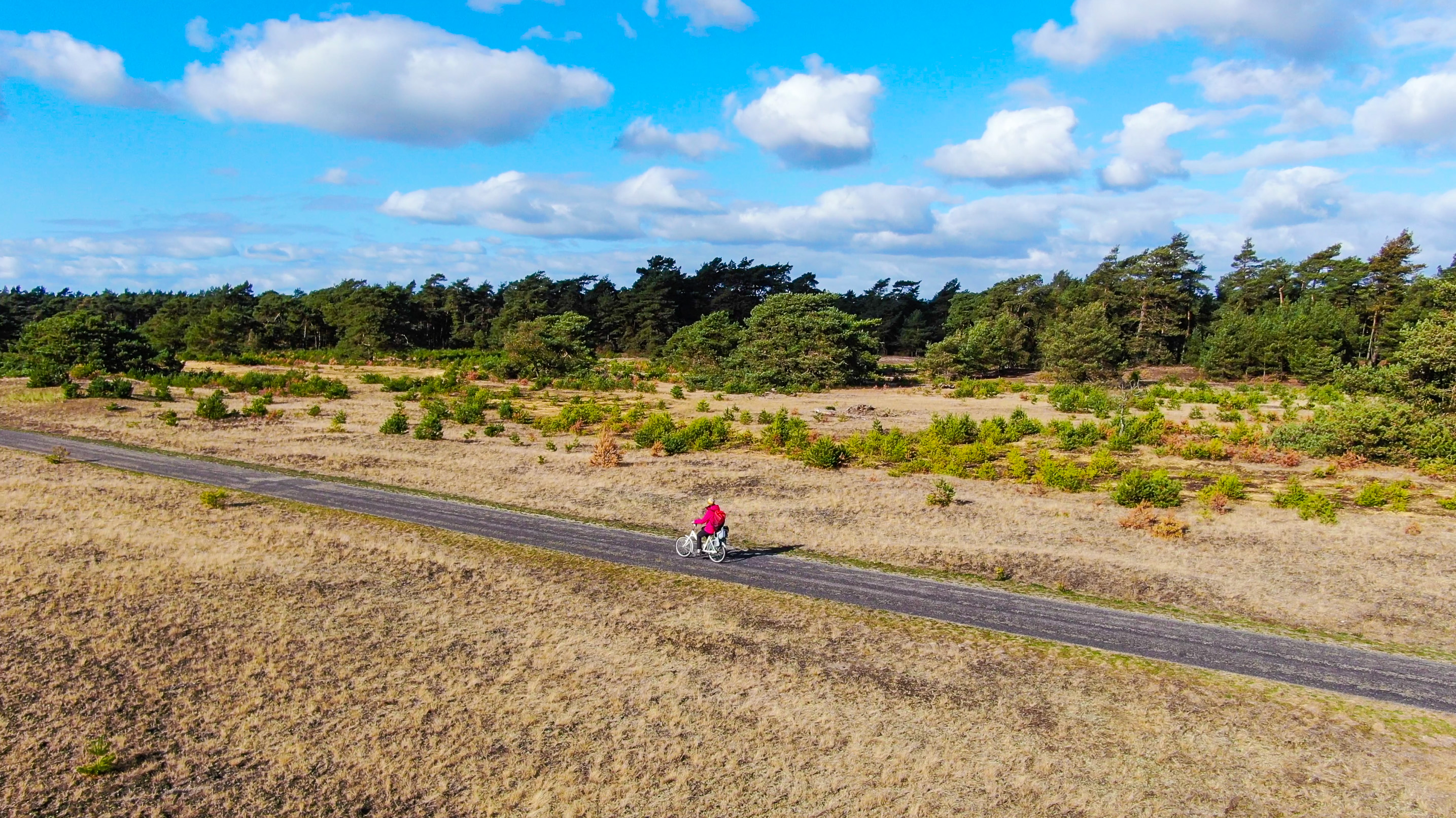 骑行荷兰,荷兰旅行攻略旅游线路怎么走