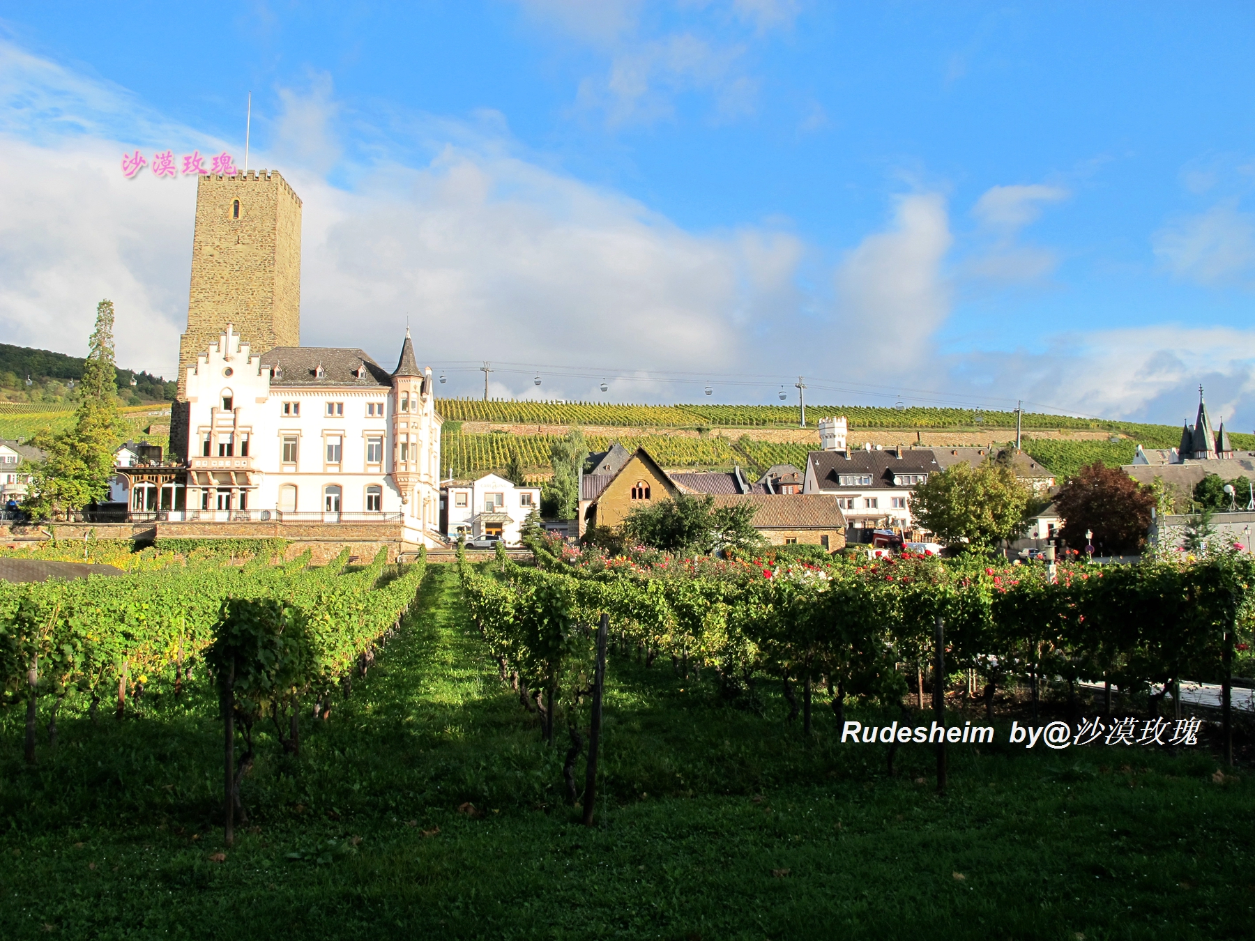 莱茵河葡萄酒小镇,莱茵河畔的葡萄小镇