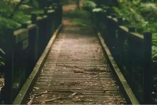 有些男人的爱，不过是叶公好龙罢了