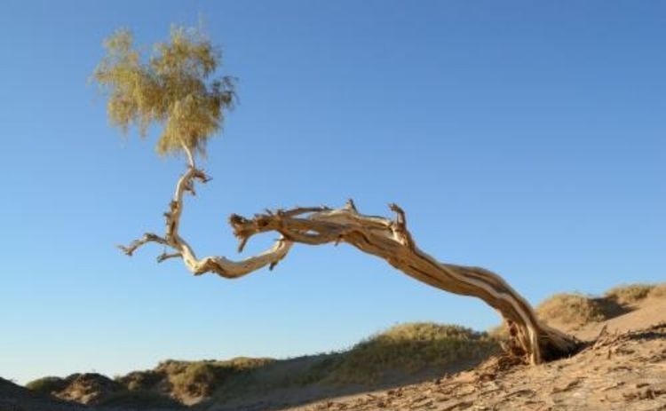 教改20年,三线以下城乡素质教育的问题和希望(原创