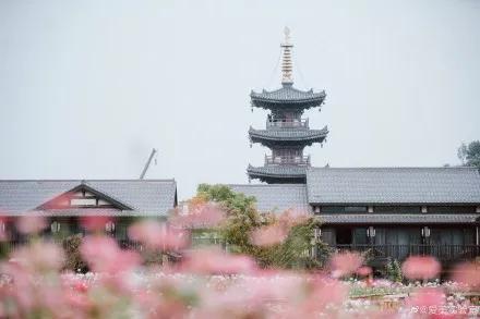 拈花湾最新消息,拈花湾风景区讲解
