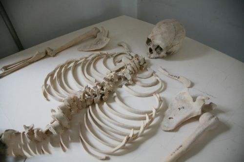 3d动画人死后埋在土里的变化,人死后埋在土里发生了哪些变化