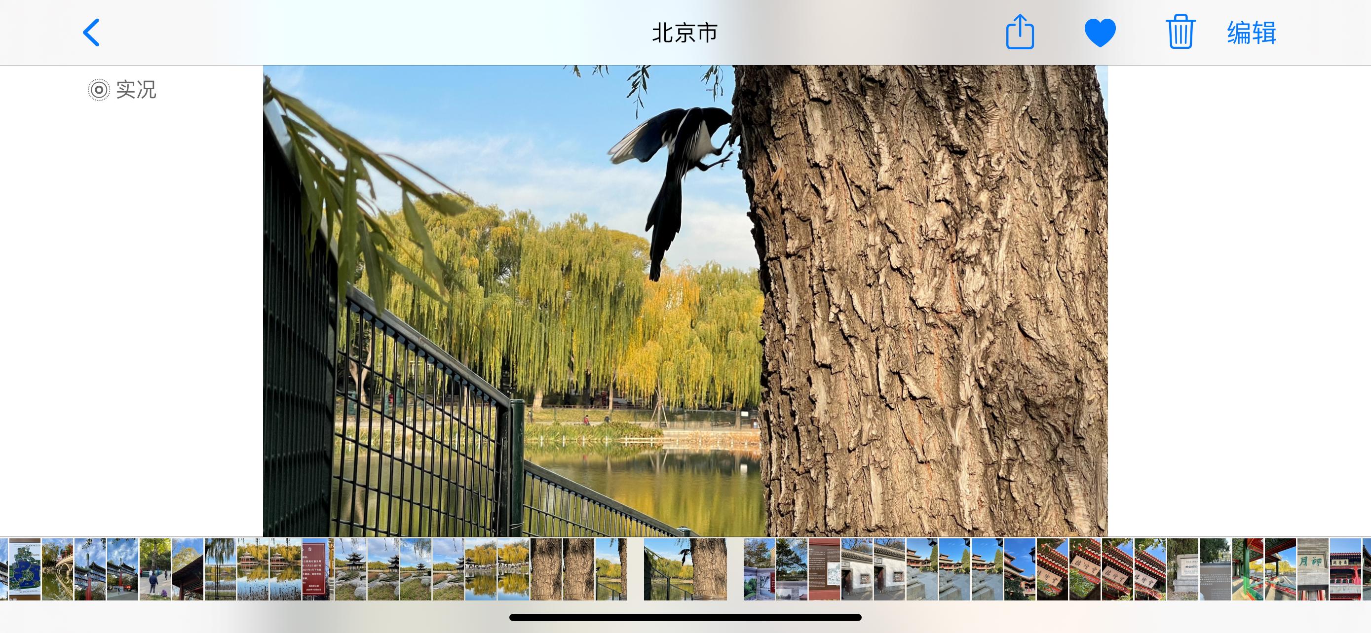 用iphone12拍大片,用iphone12拍出电影感