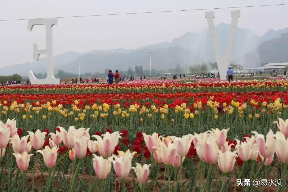 易县狼牙山小火车,河北保定易县火车