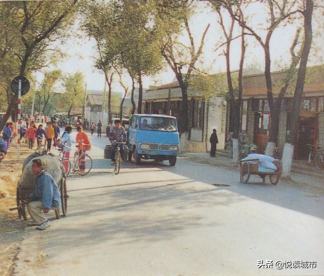 金秋赏“金”：新老照片对比金山发展老金山都不一定认得全