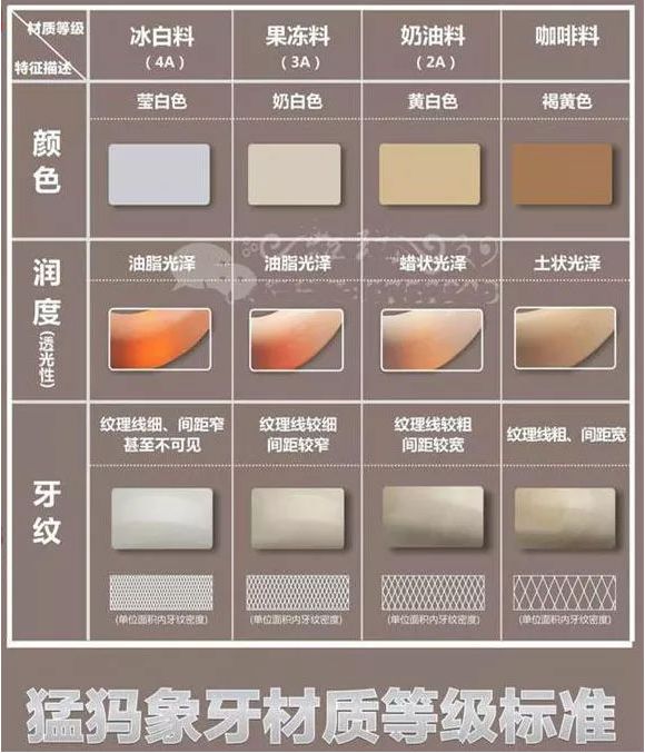 有关猛犸象的信息,猛犸象牙是条纹深的好还是浅的好