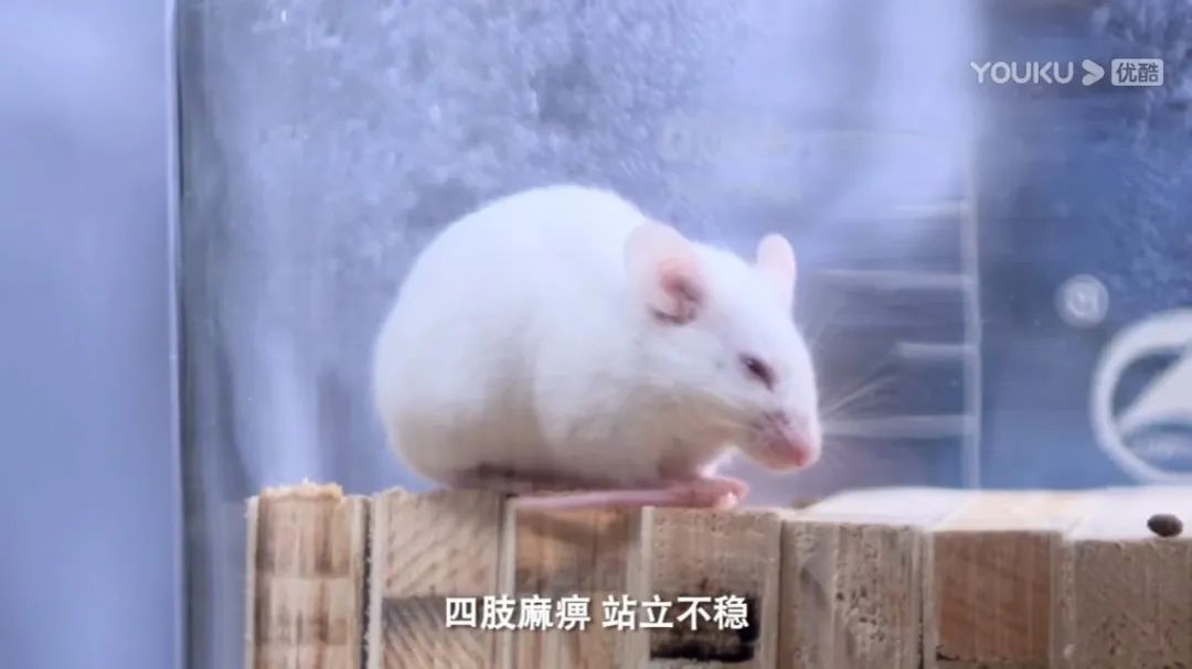 谁才是真正的环保板材,环保板材实测