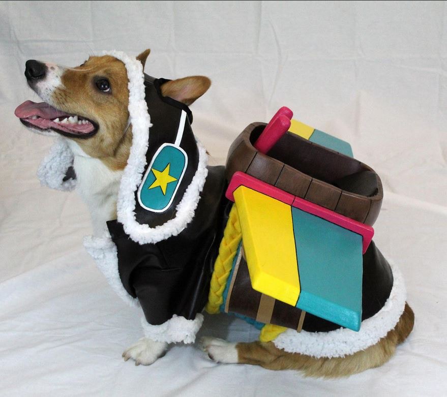 lol愚人节皮肤柯基,英雄联盟柯基皮肤