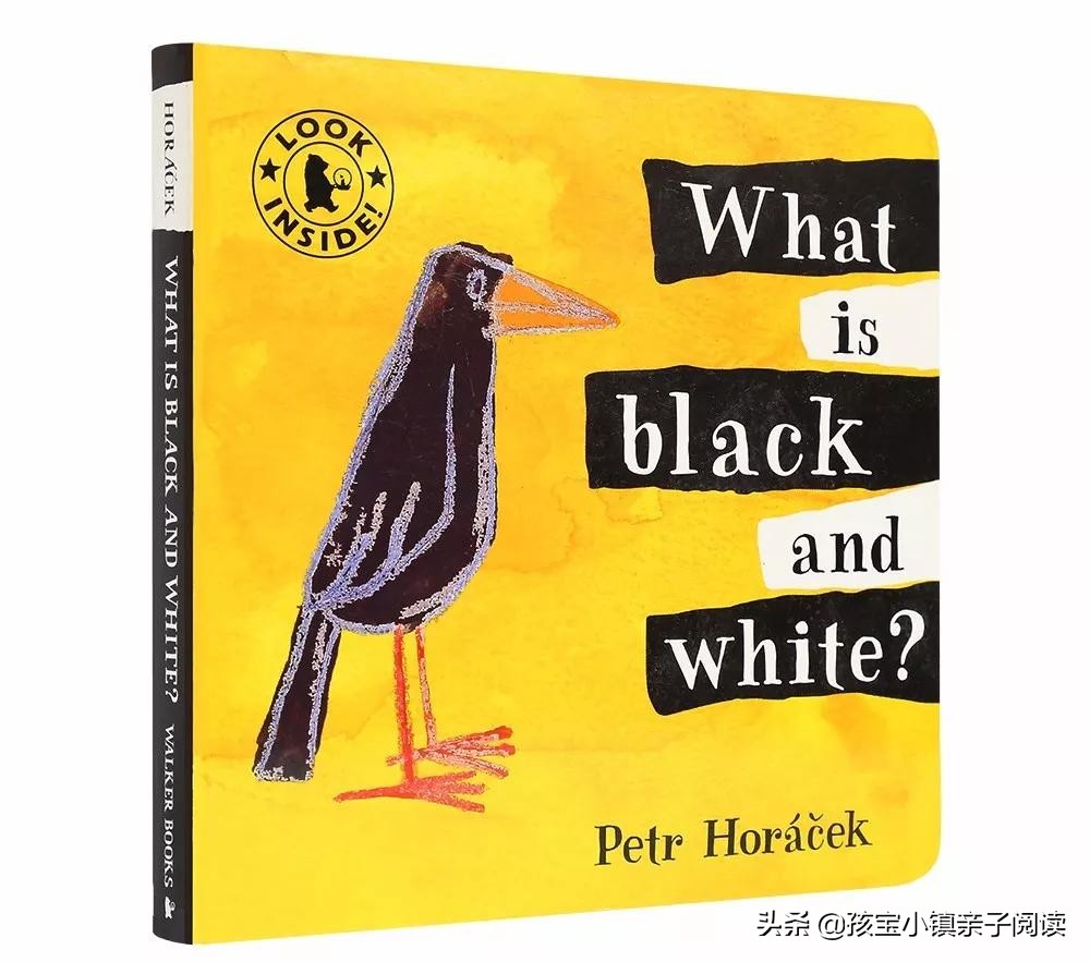 0-2岁宝宝最全英文绘本推荐（下）「吐血整理，建议收藏」