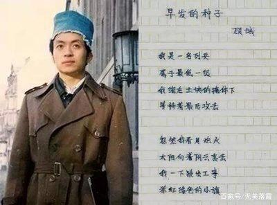 童话诗人顾城拿斧头,童话诗人顾城代表作