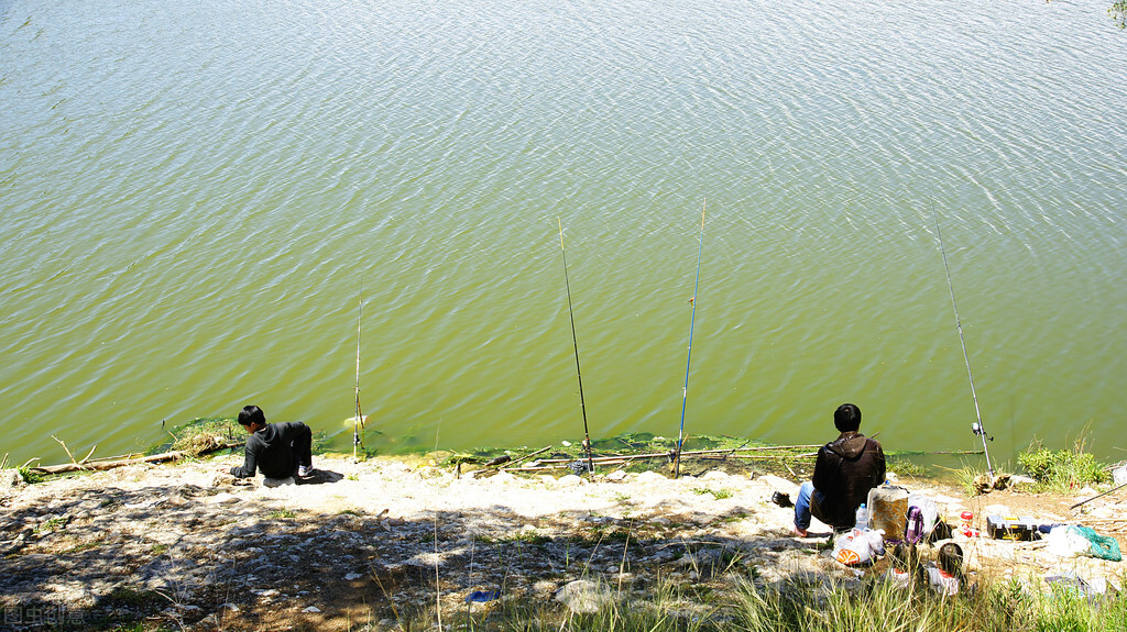 野钓怎么提高鱼获,资源不好野钓大鱼技巧及方法