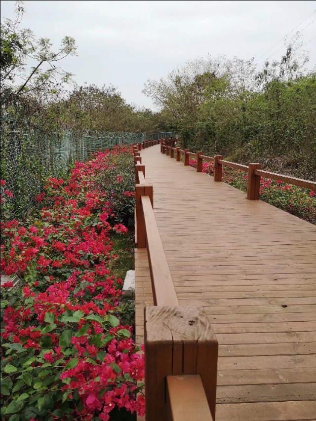 热带雨林中的蓬莱,热带岛屿游玩攻略