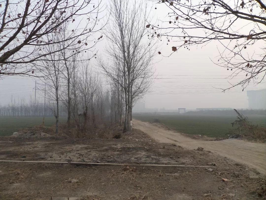 石家庄栾城区有哪些优秀企业,石家庄栾城航空小镇未来发展