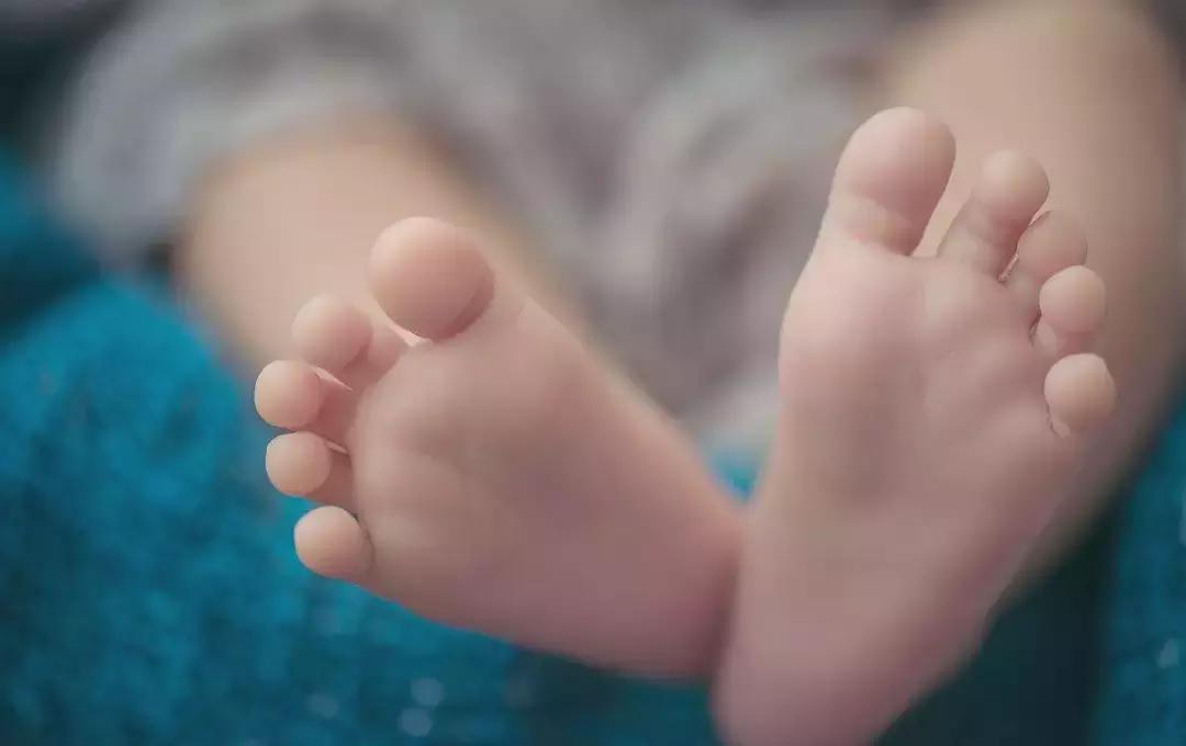 速冻模式-25°,速冻模式开启