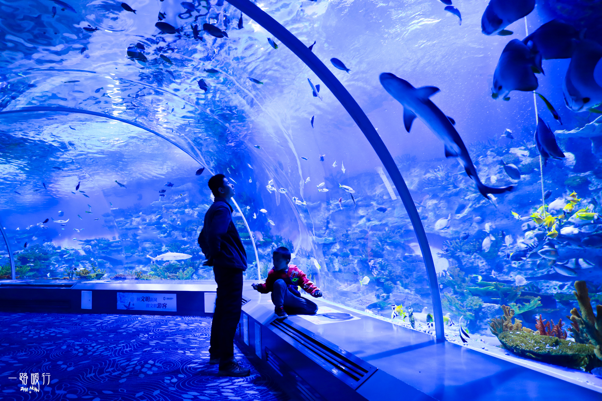 山东海滨之城是哪里,山东海滨城市景点