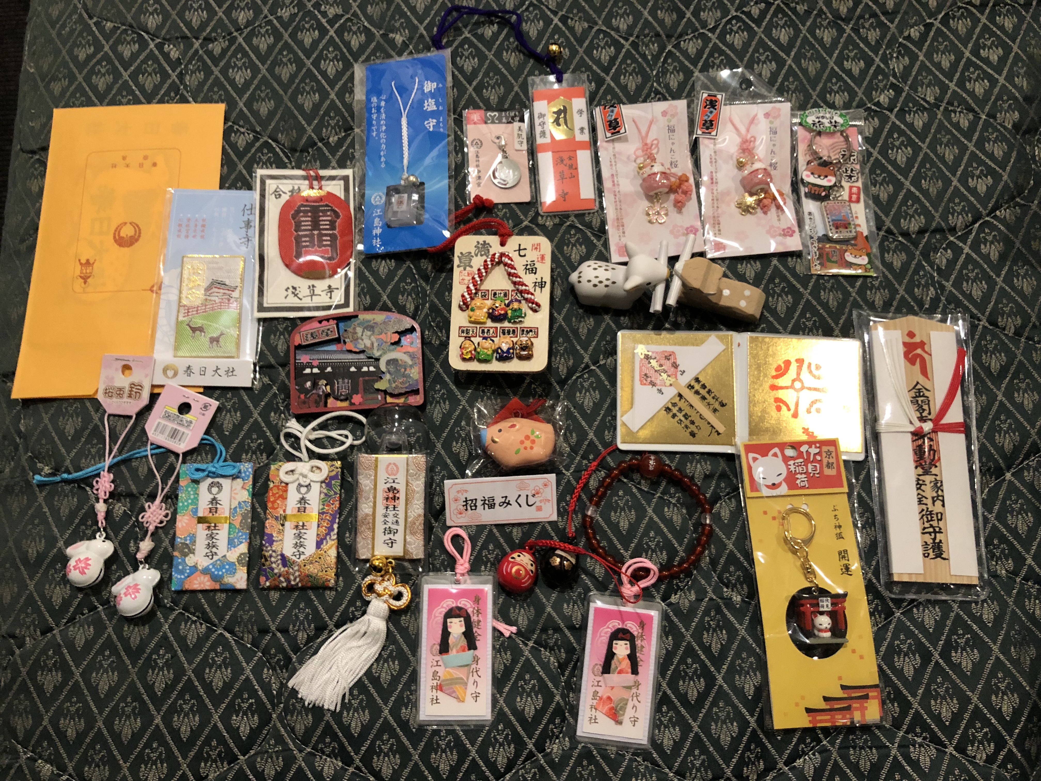 奈良公园小神鹿,日本奈良公园遇见“神鹿”