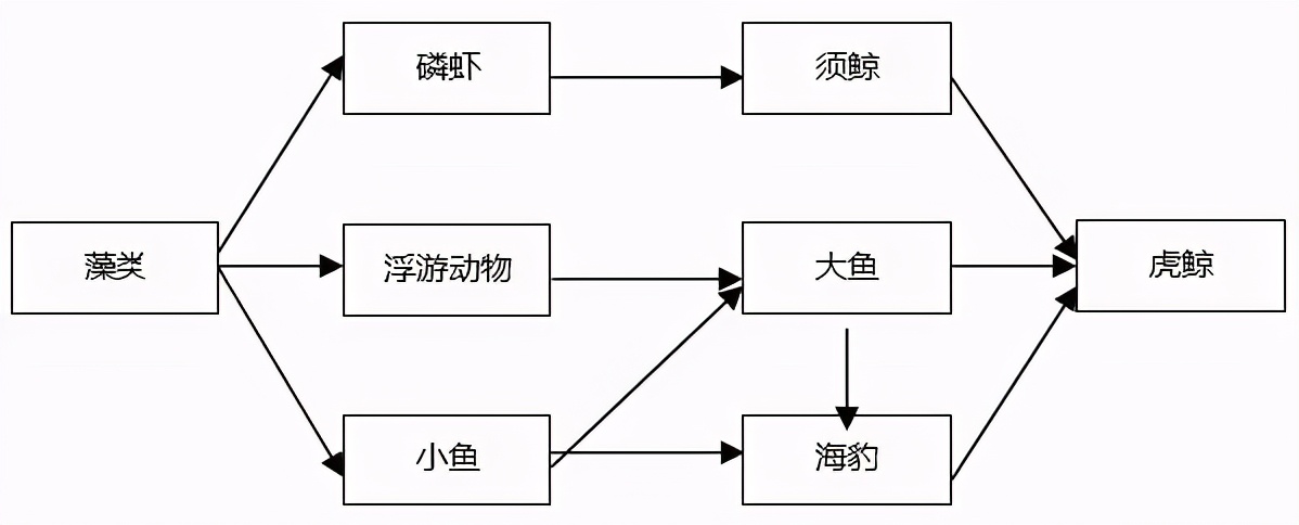 八年级生物中考新突破2024年,生物八年级上册达标测试卷
