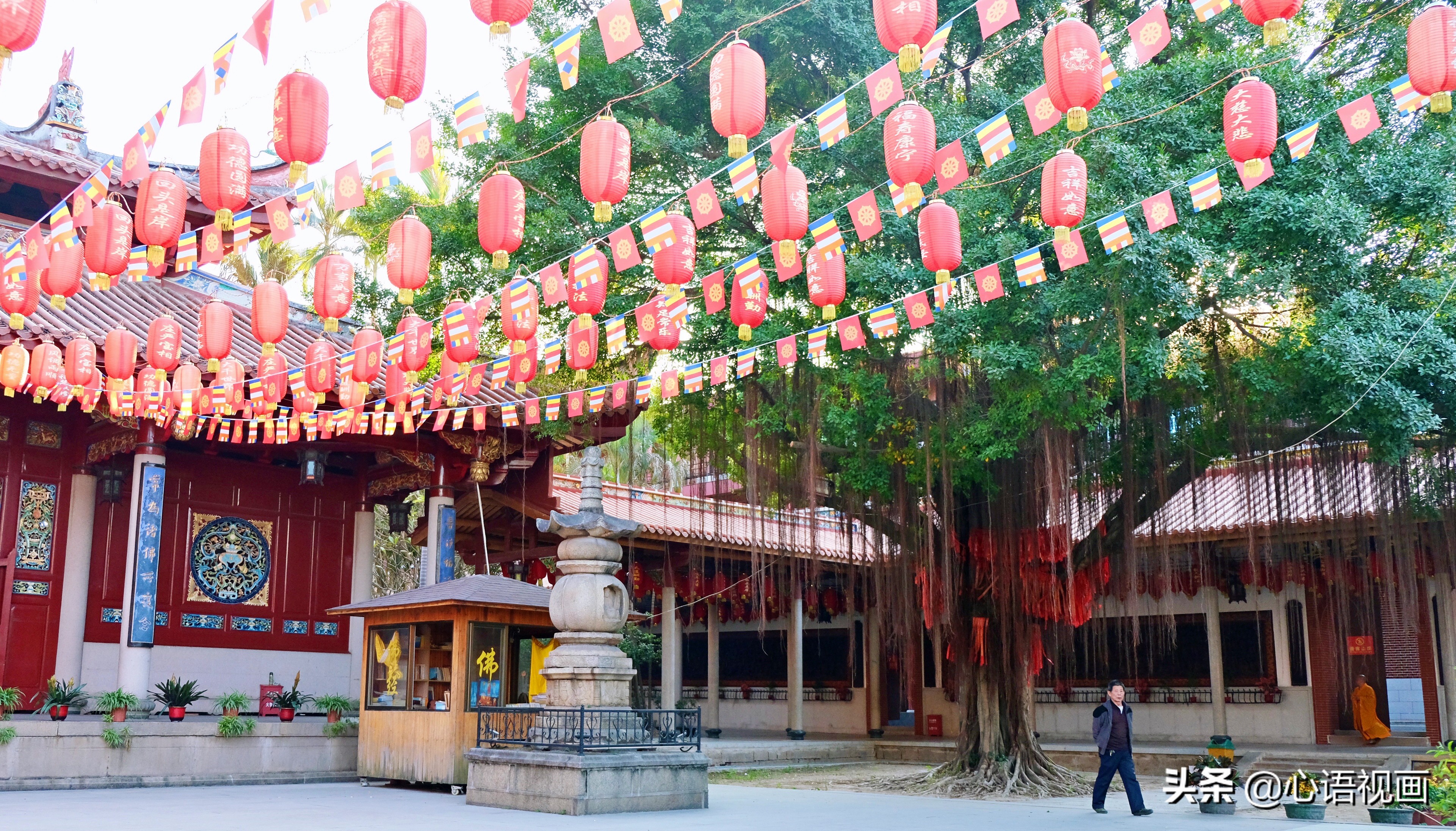 漳州花海风景区景点,漳州花海景区