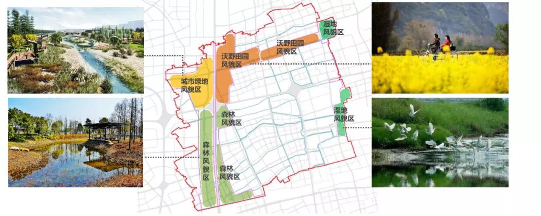 浦东的发展视频,上海浦东比较新的板块