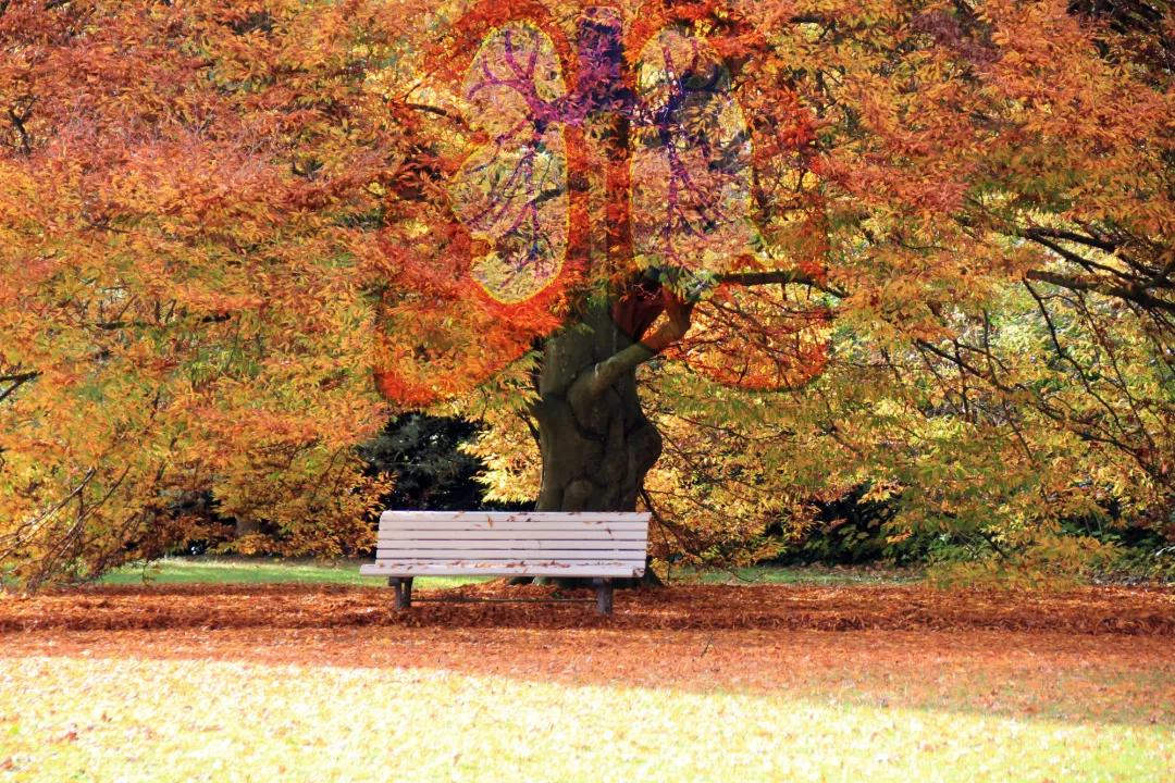 慢性阻塞性肺疾病防控,慢性阻塞性肺疾病防治