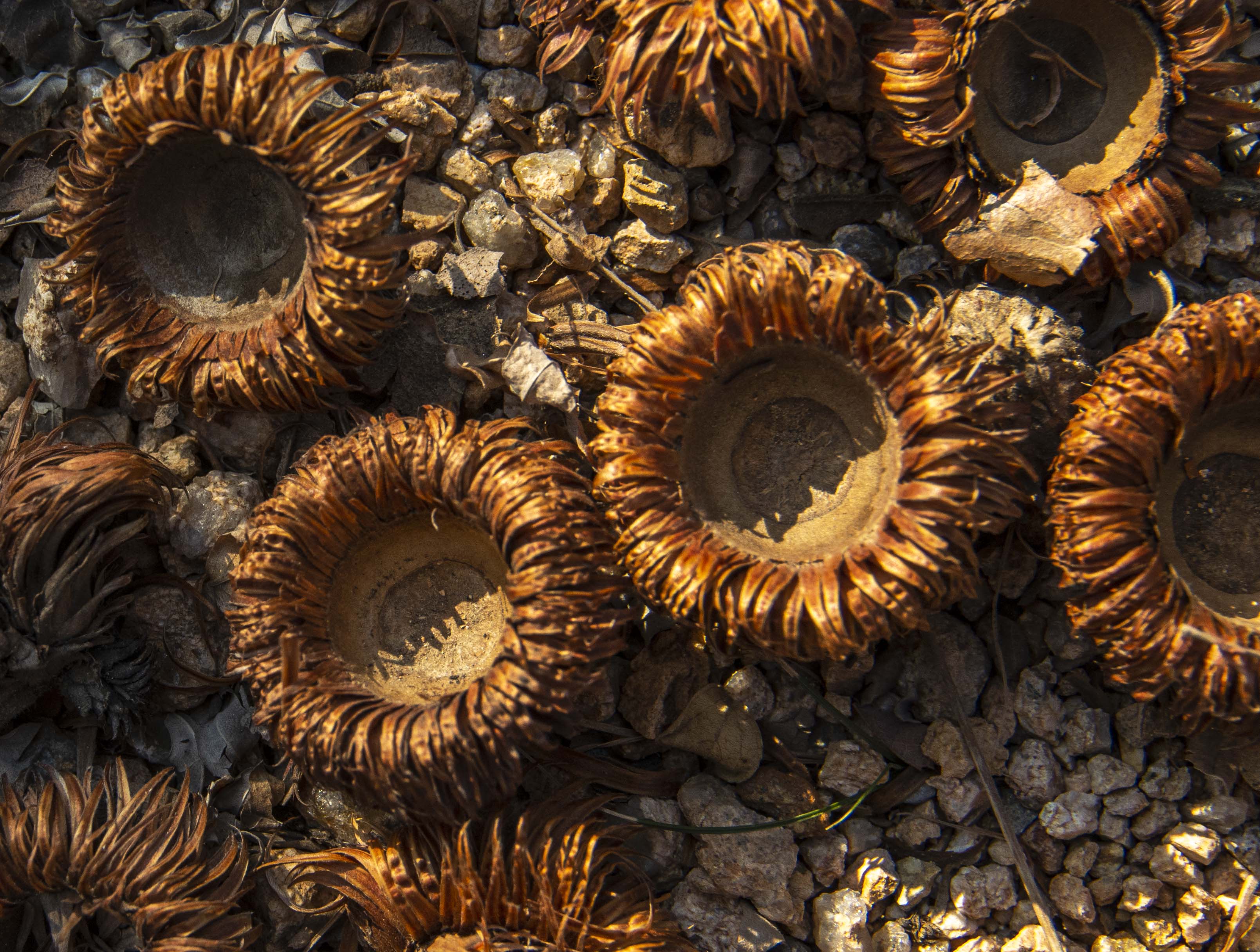 塞外江南处处是美景,塞外风光江南水乡