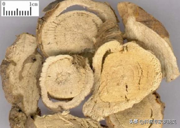 肝病常用中药,每个服中药的人都要注意