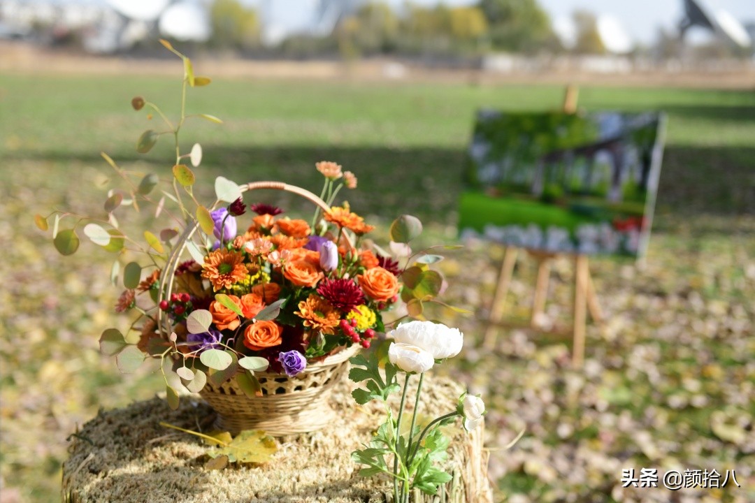 没有比利时花园游,来点比利时啤酒吧|随笔