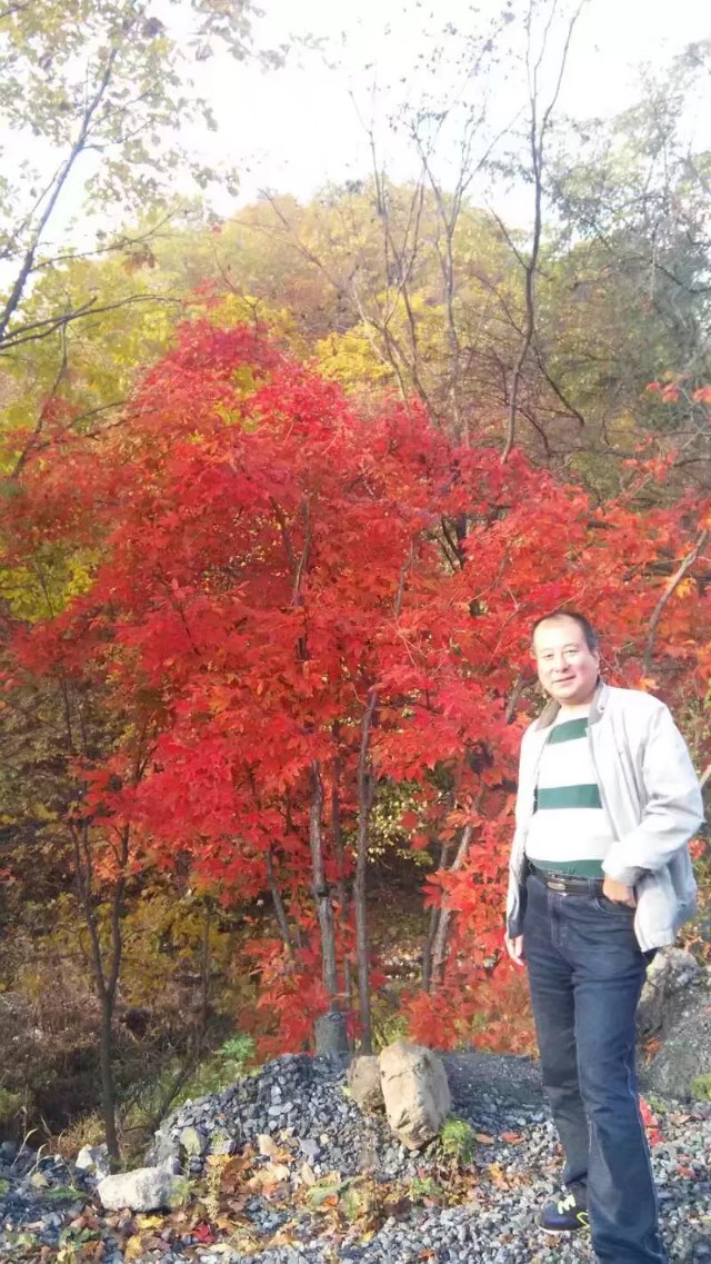 猴石森林公园全景图,猴石森林公园价格