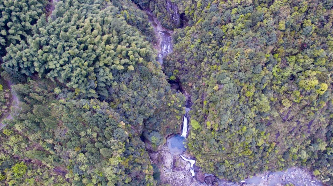 探访悬崖峭壁,大峡谷绝壁长廊