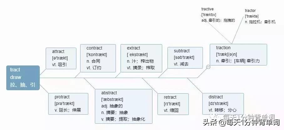 每天30分钟背初中单词,每天1分钟背单词