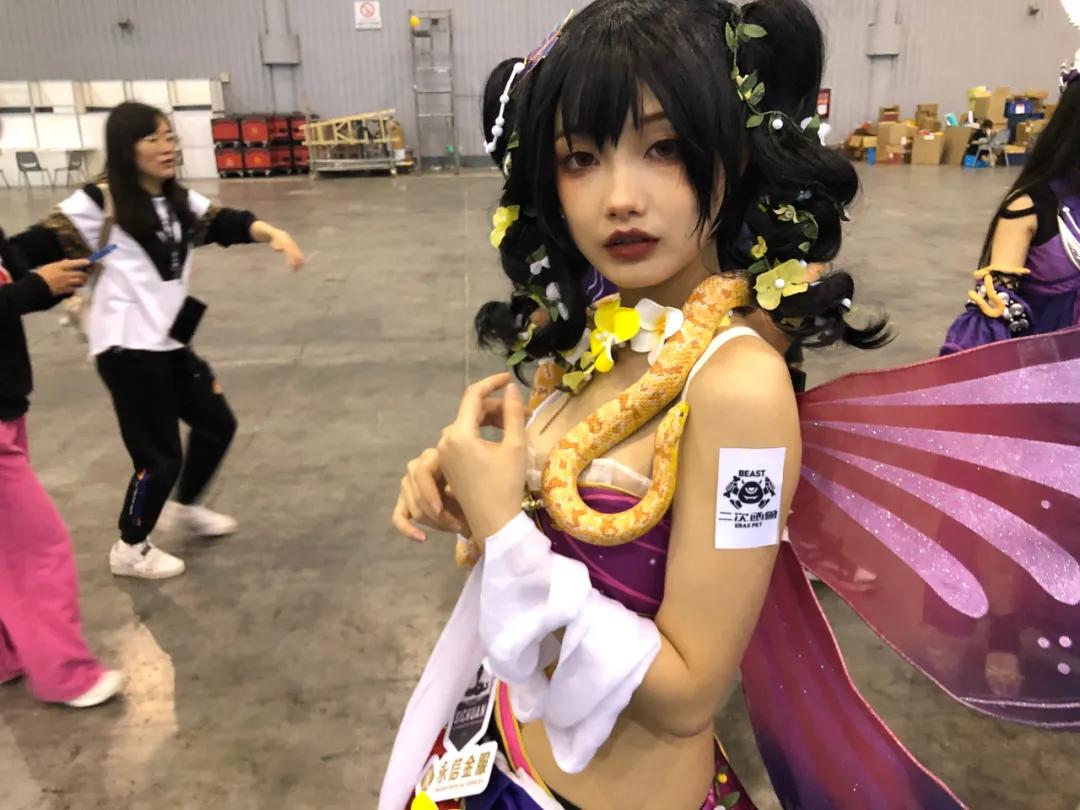 西北宠物行业的剁手盛宴来喽