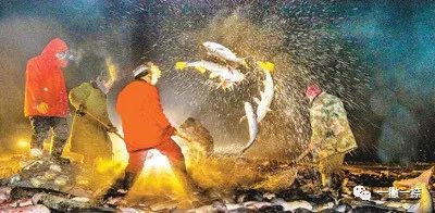 人民日报40年老照片全部,人民日报高质量短片