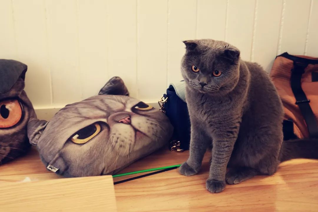 深圳富人日常生活真实记录,在深圳普通人最真实的生活状态