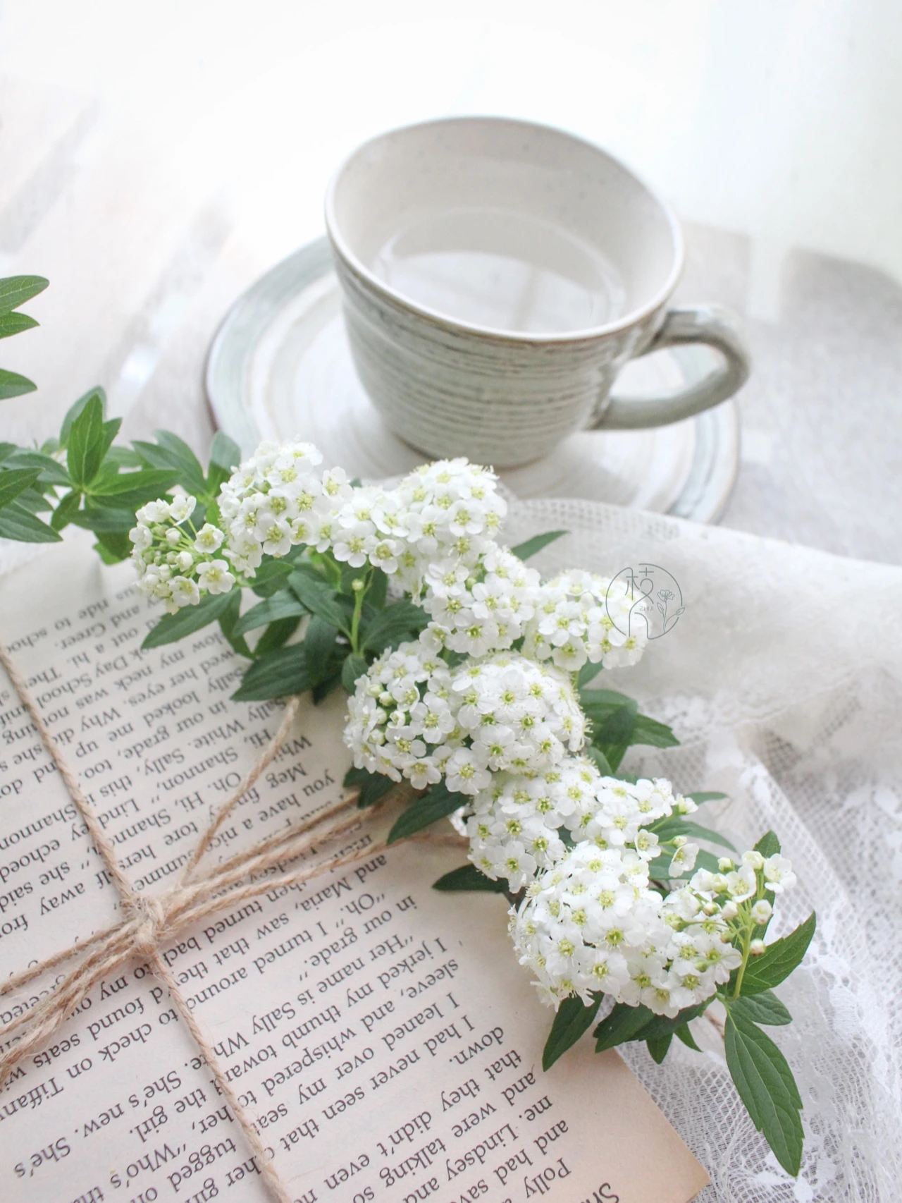 植库‖浪漫清新的小手球,为你带来氧气小森林