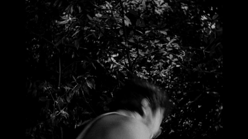 黑泽明的罗生门的真相到底是什么,谈谈黑泽明罗生门及其电影概念